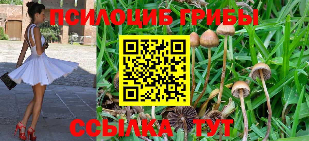 Псилоцибиновые грибы Psilocybe  Вход с VPN  Псилоцибиновые грибы мицелий  Лысьва 