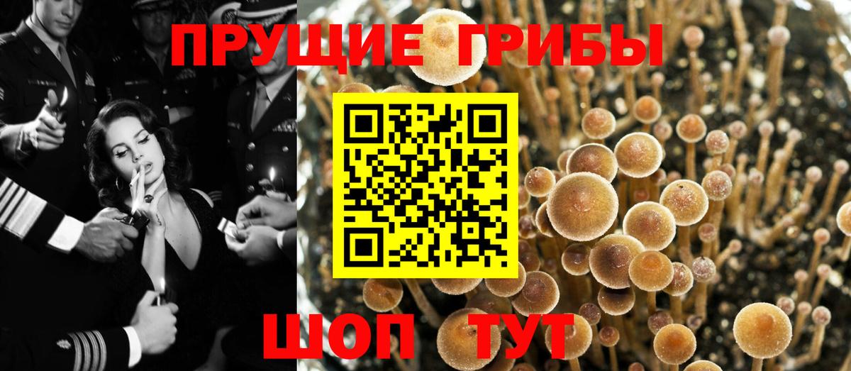 Псилоцибиновые грибы ЛСД Лысьва